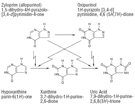 Pharmacological action - illustration